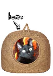 Home